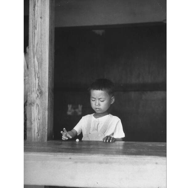 Сирота играет с шариком на подоконнике, июнь 1951 года история, кндр, северная корея