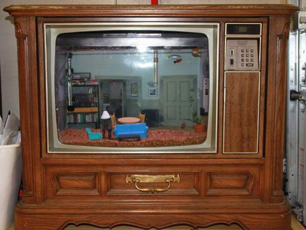 превращение теелвизора в аквариум, из телевизора аквариум, аквариум старый телевизор телешоу