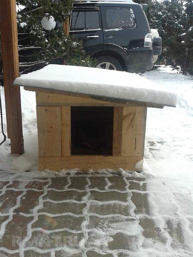 Зимняя будка для собаки