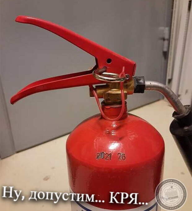 Ну, допустим, кря