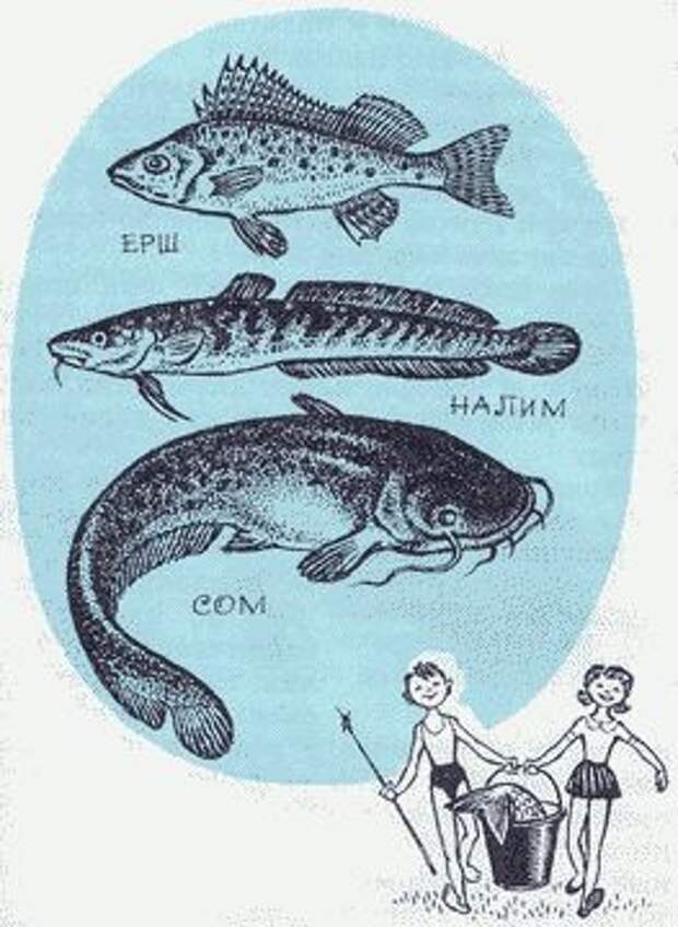 Юным рыболовам. Рыбьи Характеры