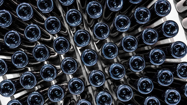 В Тюменской области готовятся получить урожай для тестовой партии местного вина