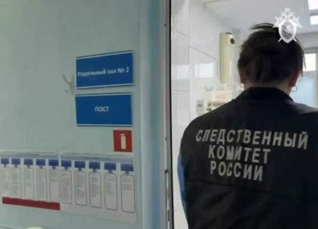 Эксперт призвал отменить мораторий на проверки роддомов Росздравнадзором после трагедии в Новокузнецке