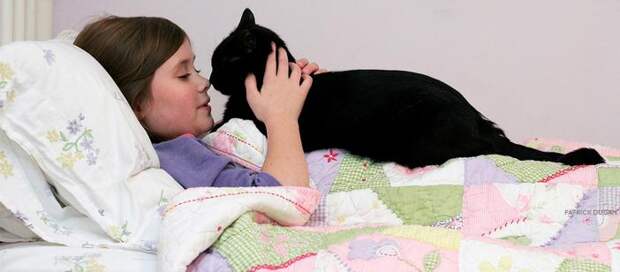 Pets