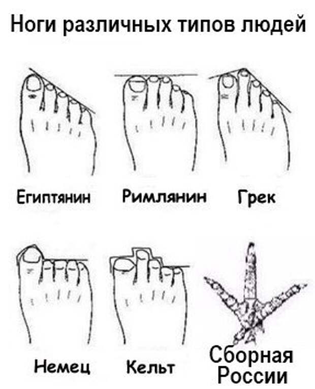Смешные картинки с надписям
