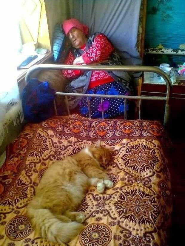Позитив в весёлых картинках (77 шт)