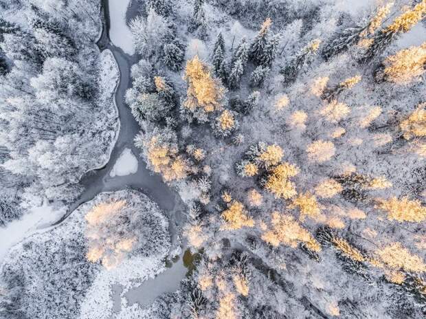 northern-lights-photography-finland-46-584e5d4fea944__880