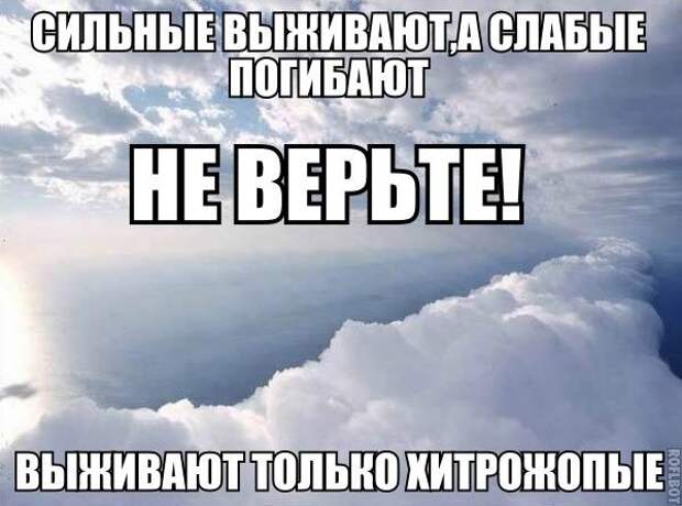 Так себе картинки