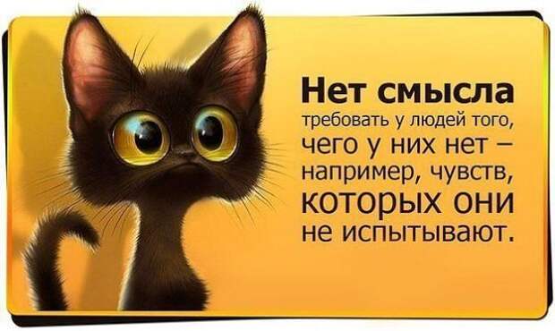Цитатное.