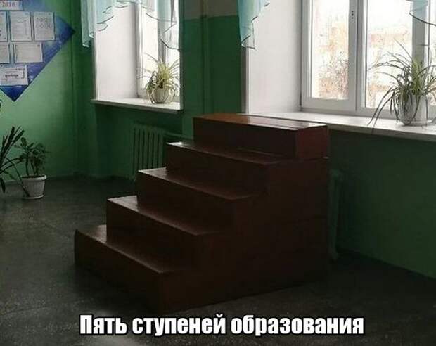 Подборка картинок