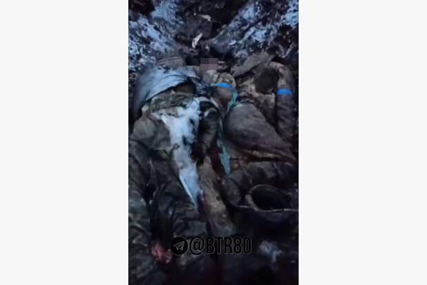 Появилось видео из зоны СВО с последствиями отказа ВСУ сдаться