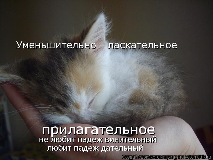 Котоматрица: Уменьшительно - ласкательное прилагательное  не любит падеж винительный любит падеж дательный
