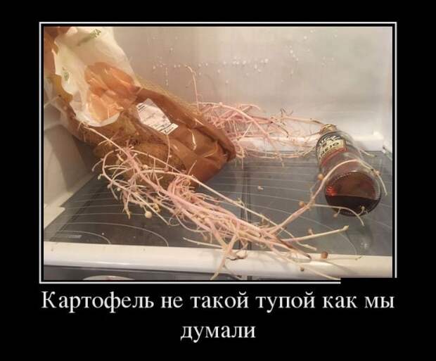 Демотиваторы - 1000 Демотиваторы - 1000
