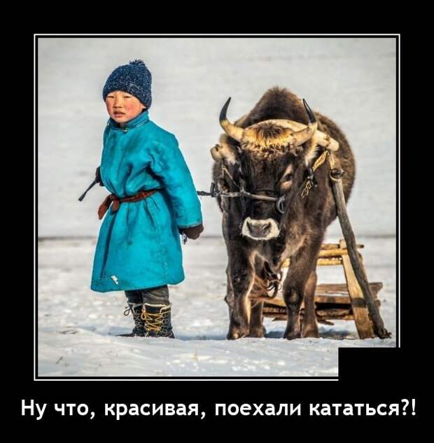 Демотиваторы 14 декабря 2021 года