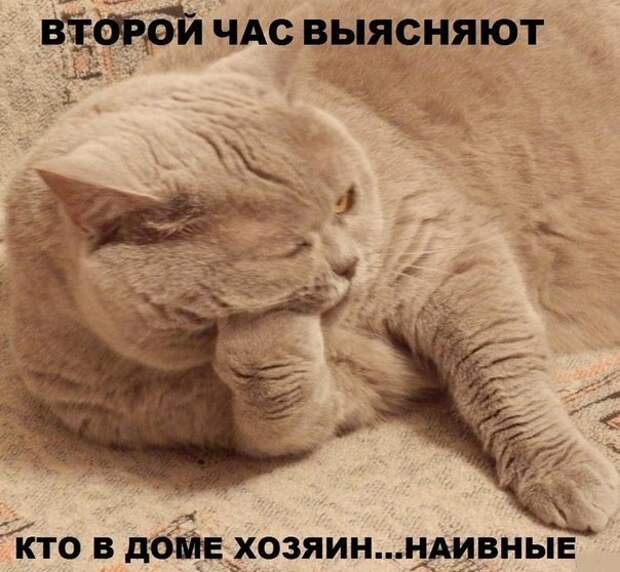 Всяко - разно 27 ))) Всяко - разно 27 )))