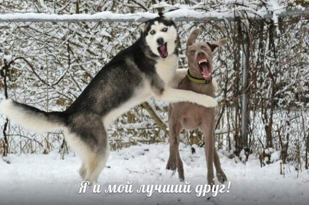 Всяко - разно 11 ))) Всяко - разно 11 )))