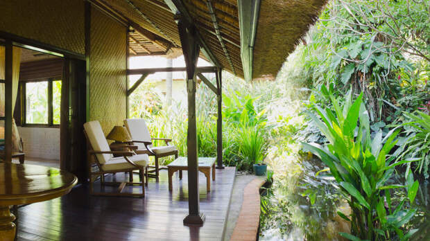 Возбуждено еще два дела об афере блогера Домогацкого с виллами на Бали