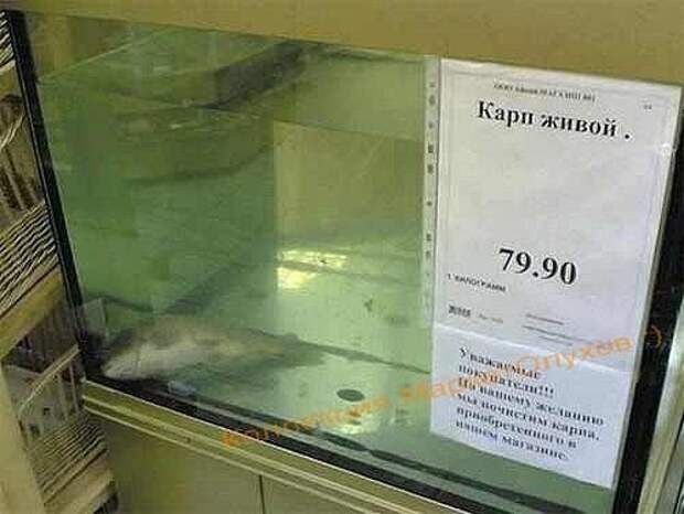 Улыбниська =)