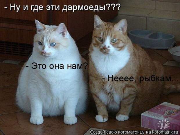 Мысли вслух :)