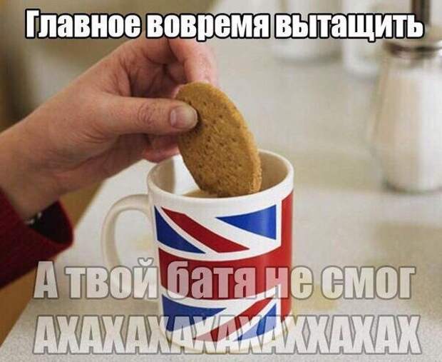 Смешные картинки с надписями прикол, юмор