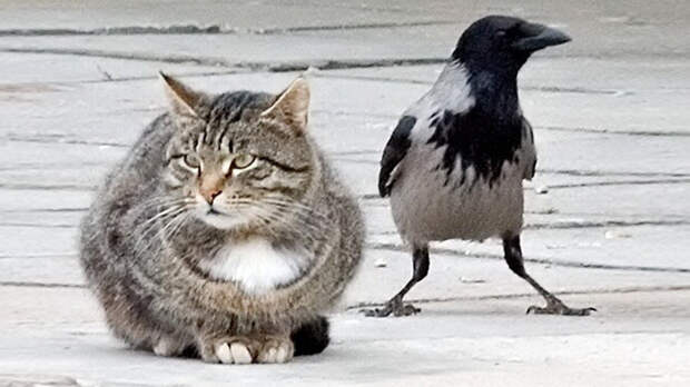 источник фото: ok.ru