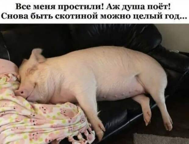 Лучшие шутки и мемы из Сети
