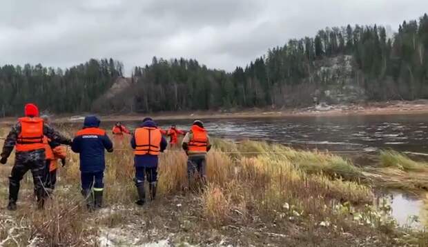 Спасатели показали видео с места падения вертолета в Вологодской области