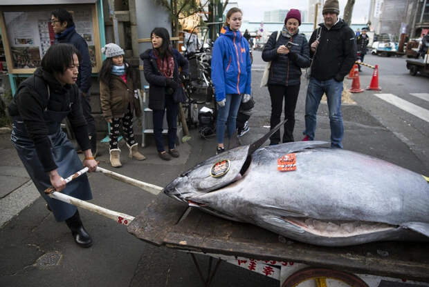 Источник: Tomohiro Ohsumi/Getty Images