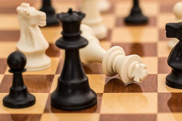 Шахматисты-любители из Северного посостязаются на турнире Фото с сайта pixabay.com
