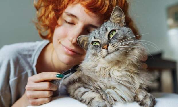 Тест: выберите любимую породу кошек, а мы скажем, какая черта характера в вас доминирует