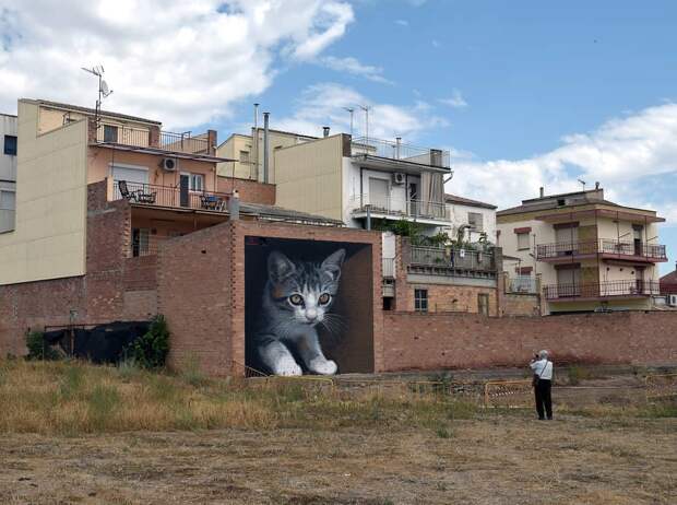 15 креативных и уникальных муралов художника Ориола Аруми