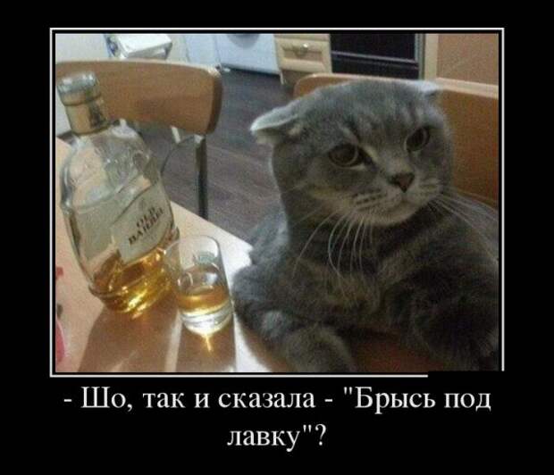 Демотиваторы - 1000 Демотиваторы - 1000