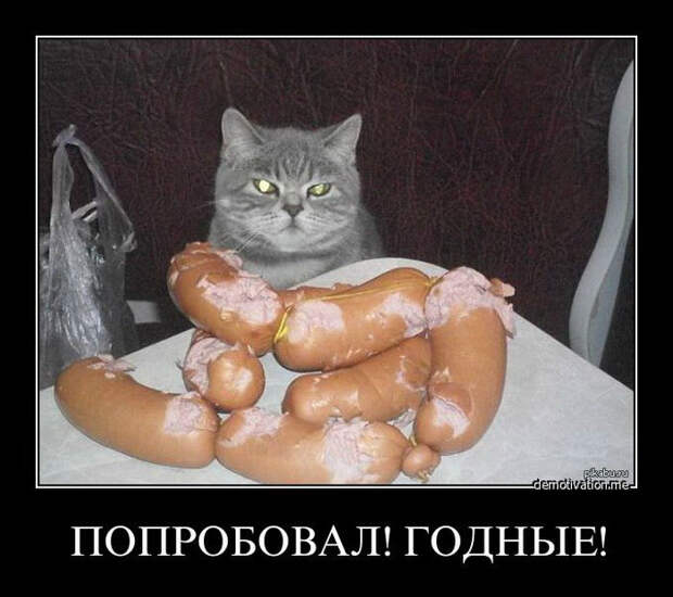 Демотиваторы и мотиваторы. Демотиваторы и веселые картинки_18-04-2013