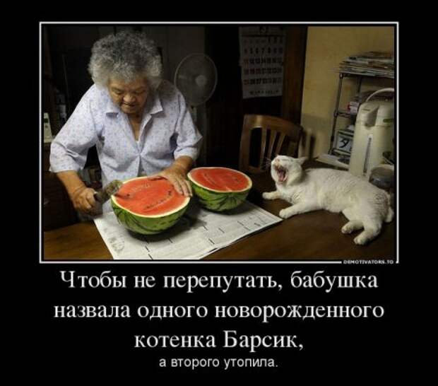 Демотиваторы, безумные и прикольные как всегда.
