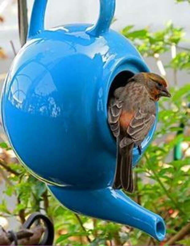 Tea pots for bird houses. Great idea! (Cover the hole on both ends of the pouring spout for safety reasons.): 