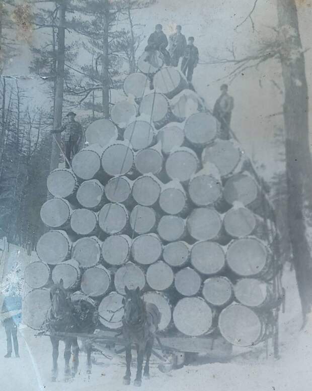 Подборка прикольных картинок
