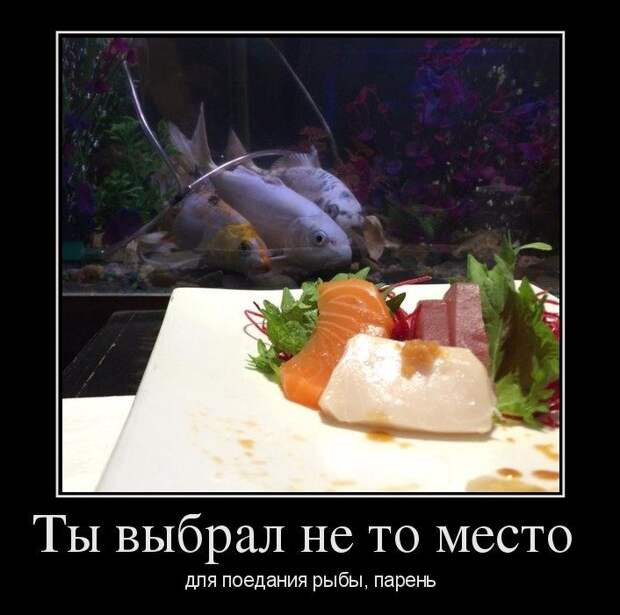 Прикольные демотиваторы Прикольные демотиваторы