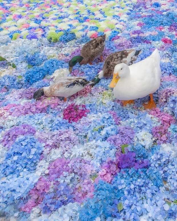Фотоподборка