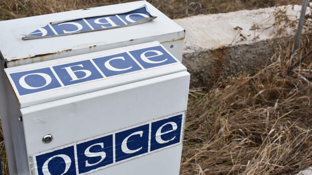 ОБСЕ обвинили в тройных стандартах из-за отказа реагировать на притеснения на Украине