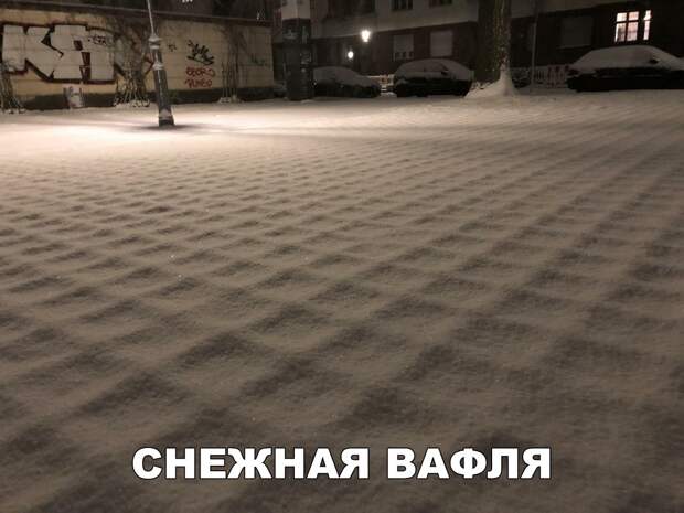 Позитивные и веселые фото с надписями (10 фото)