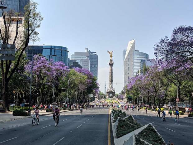 Главная улица Мехико Пасео де ла Реформа. Красиво. themonumentous.com