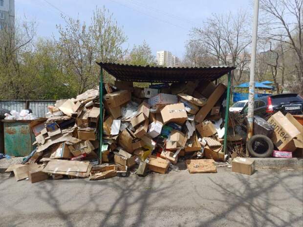 «Замкнутый круг». Владивостокцы пожаловались на горы мусора у жилого дома