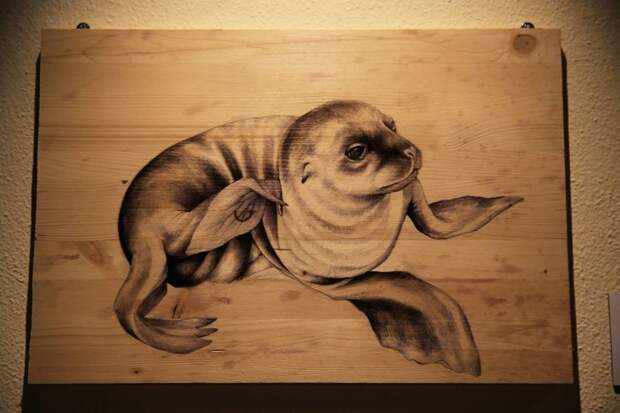 Тюлень (перо) живопись, художник, экология