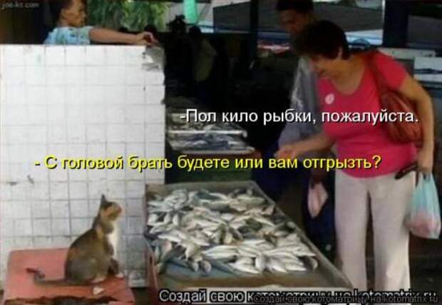Котоматрицы (картинки с надписями)