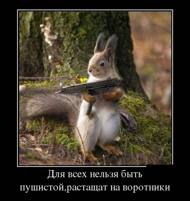 Демотиваторы - 1000 Демотиваторы - 1000