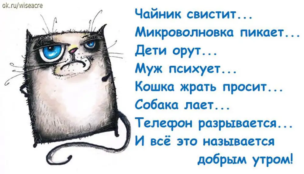 Пожелания с добрым утром с юмором. Смешные стихи с добрым утром. Стих про утро прикольные. Стихи про утро смешные короткие.