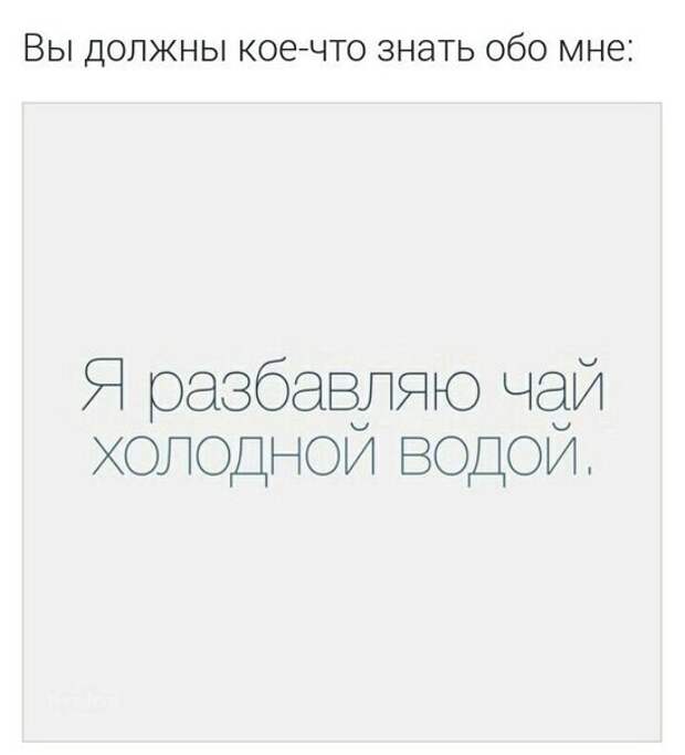Смешные картинки с надписями прикол, юмор