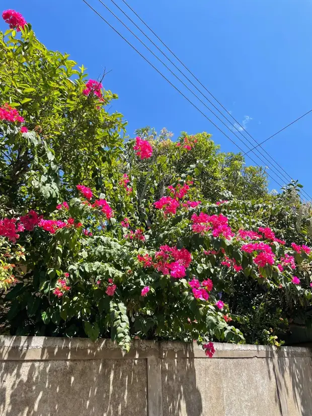 «Электричество выключают на 10-13 часов в сутки»: как сегодня живут люди на Шри-Ланке