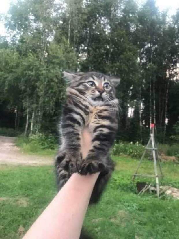 Картинки, которые радовуют глаз