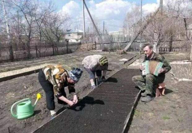 Настоящие «джентльмены» (42 фото)